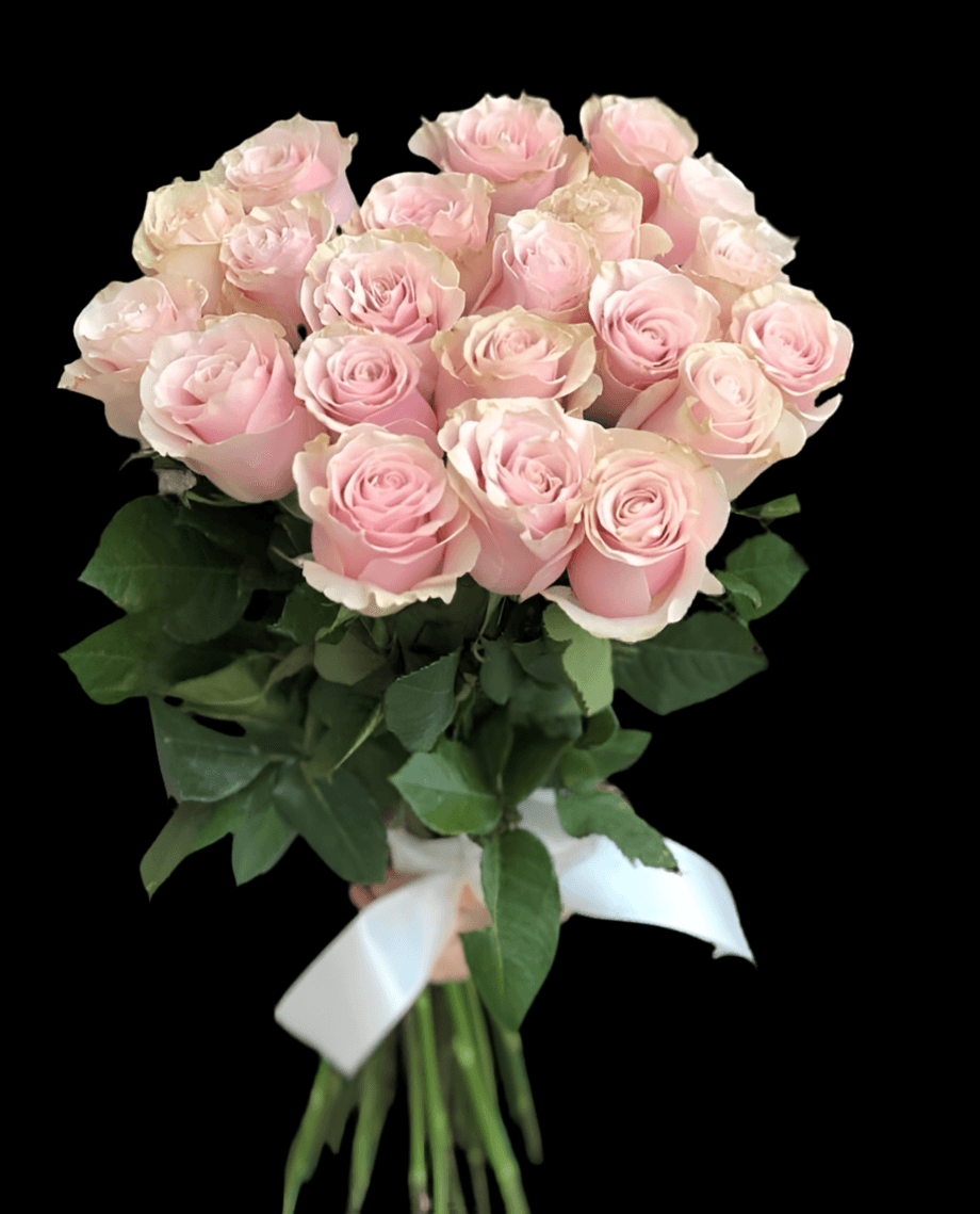 Mono Roses Pink Ecuador 70cm