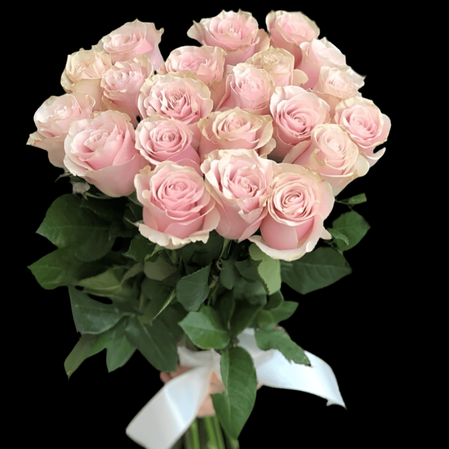 Mono Roses Pink Ecuador 70cm