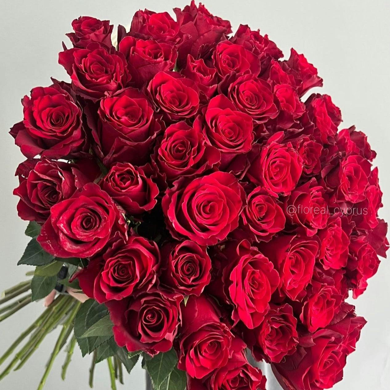 Mono Red Roses